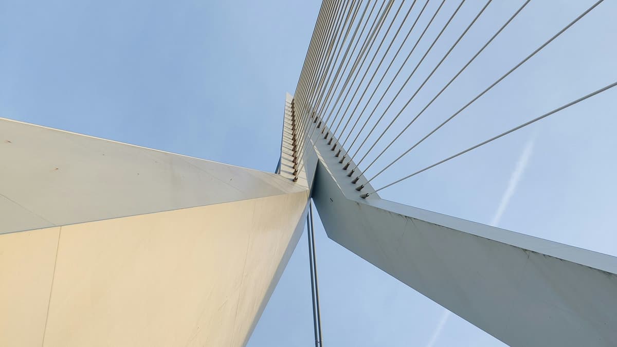 RISE lawyers 2026: international trade